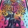 Mantas India 1 plaza