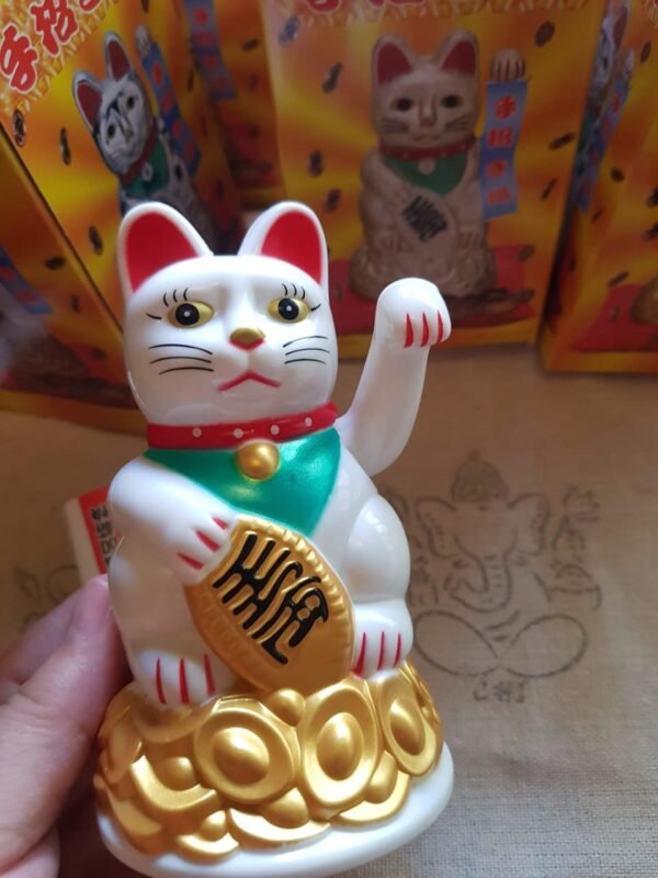 Neko mediano Clásico