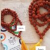 Japamalas Rudraksha sagradas