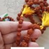 Japamalas Rudraksha sagradas