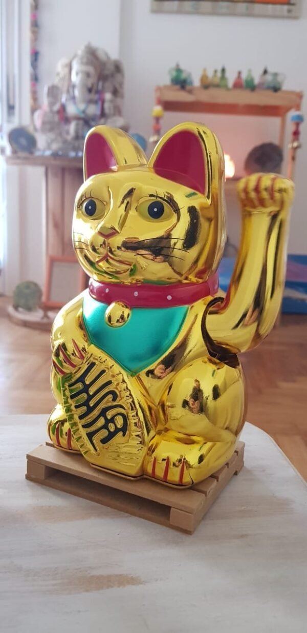 Neko 20cm a pila