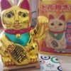 Neko 20cm a pila