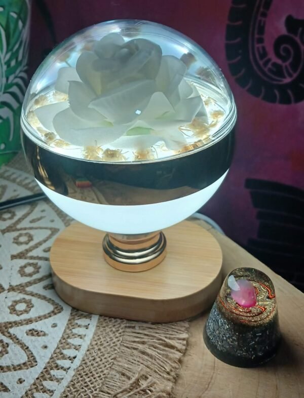 2025/10/1001823859.jpg Lámparas con flores usb