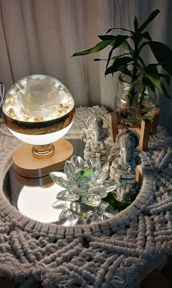 2025/10/1001894358.jpg Lámparas con flores usb