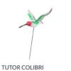 Colibrí Tutor grande