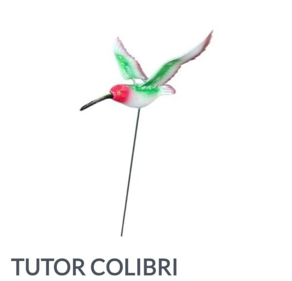 Colibrí Tutor grande