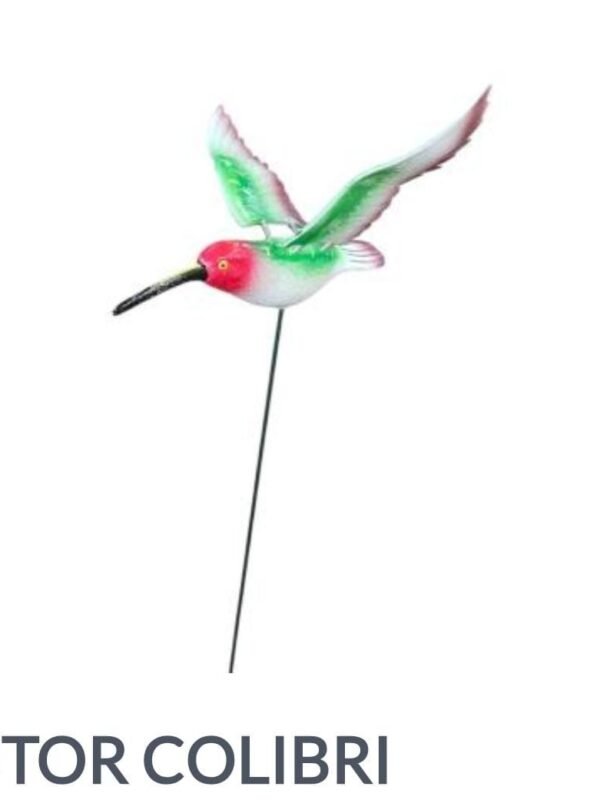 Colibrí Tutor grande