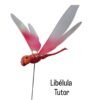 Libélula Tutor grande