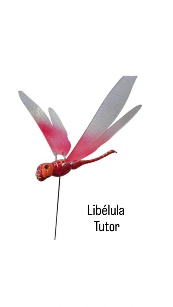 Libélula Tutor grande