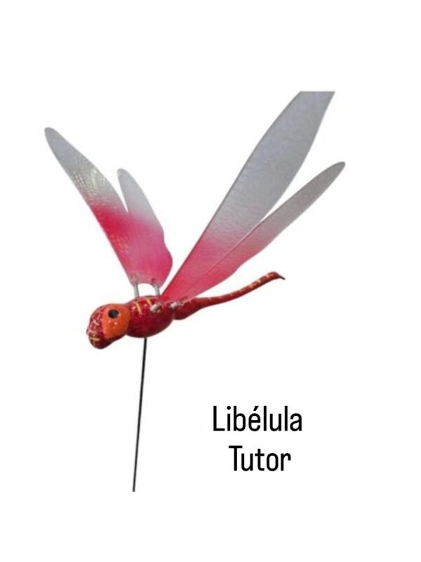 Libélula Tutor grande