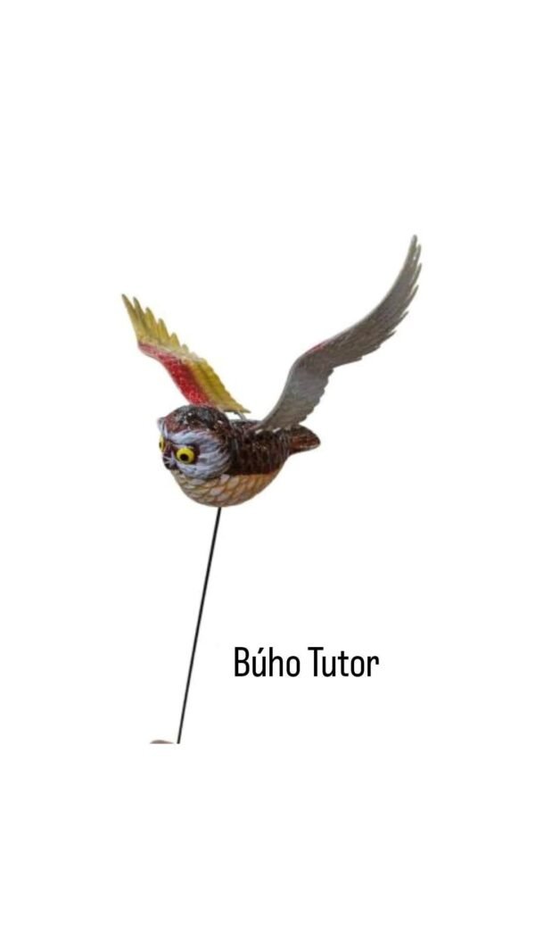2025/10/1002109464.jpg Búho Tutor grande
