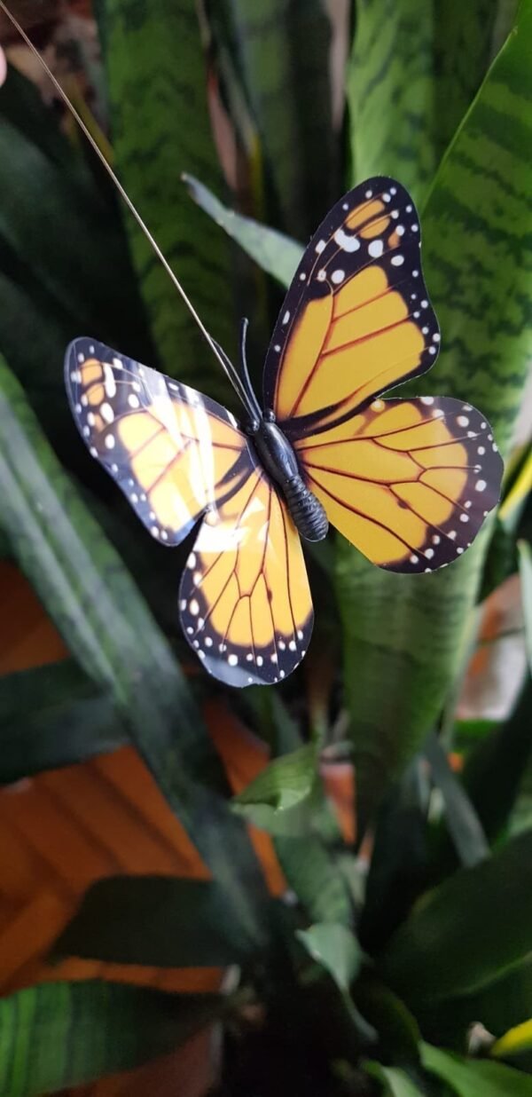 2025/10/1002182896.jpg Mariposa Tutor Solar/Pila