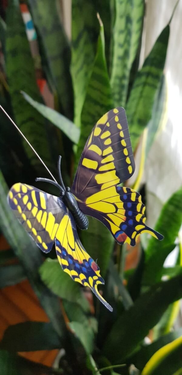 2025/10/1002182898.jpg Mariposa Tutor Solar/Pila