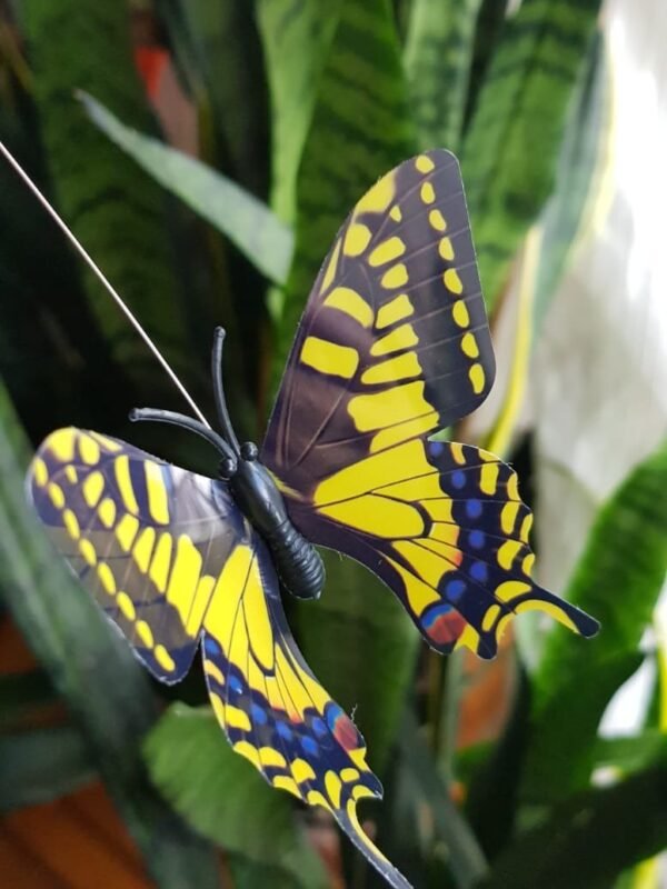 Mariposa Tutor Solar/Pila