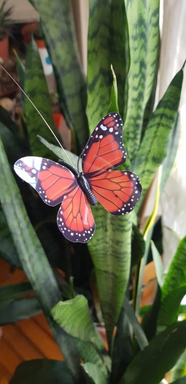 2025/10/1002182899.jpg Mariposa Tutor Solar/Pila