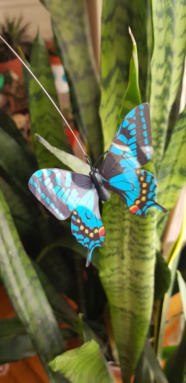 2025/10/1002182900.jpg Mariposa Tutor Solar/Pila