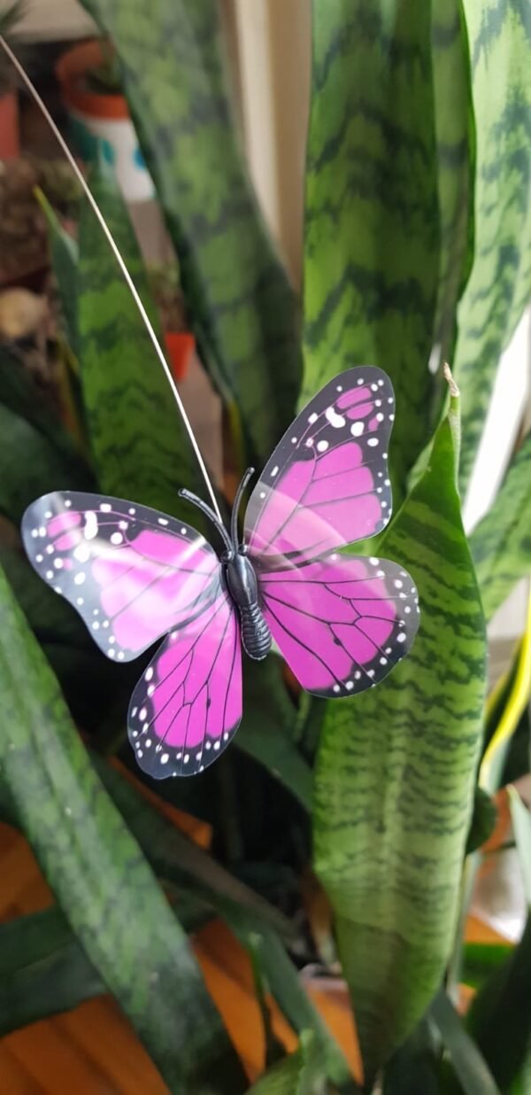 2025/10/1002182901.jpg Mariposa Tutor Solar/Pila