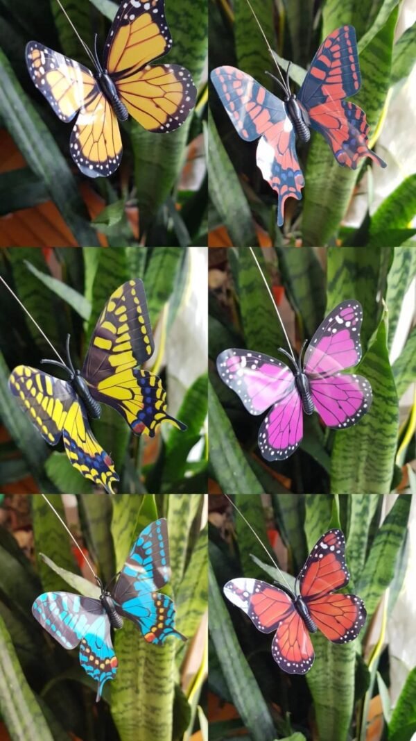 2025/10/1002198209.jpg Mariposa Tutor Solar/Pila