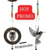 Pack Promo Solo x Hoy surtido x 10 u.