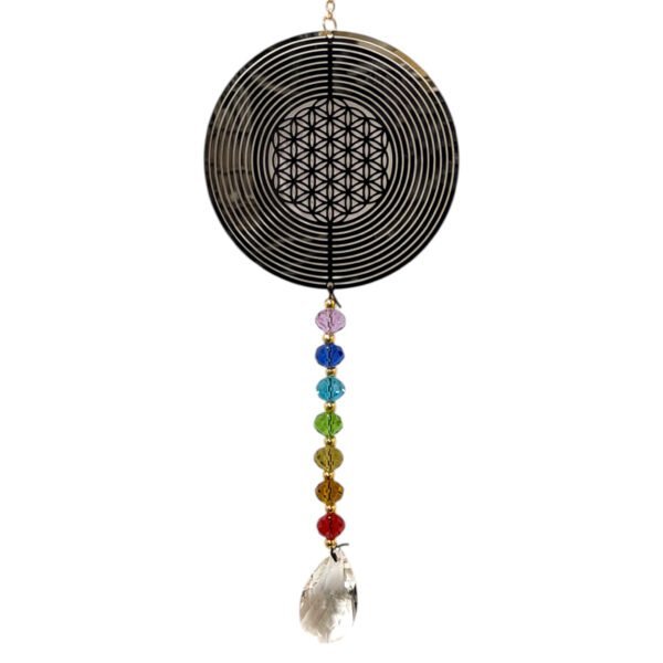 Pack Promo Solo x Hoy surtido x 16 u. NUEVOS