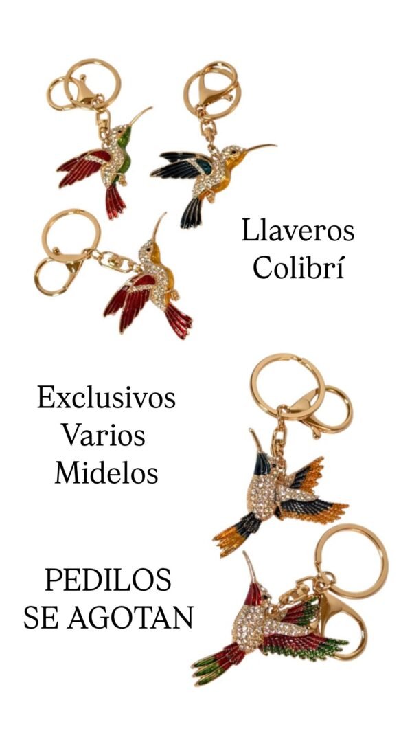 2026/01/1002469177.jpg Llaveros Colibrí Nuevos