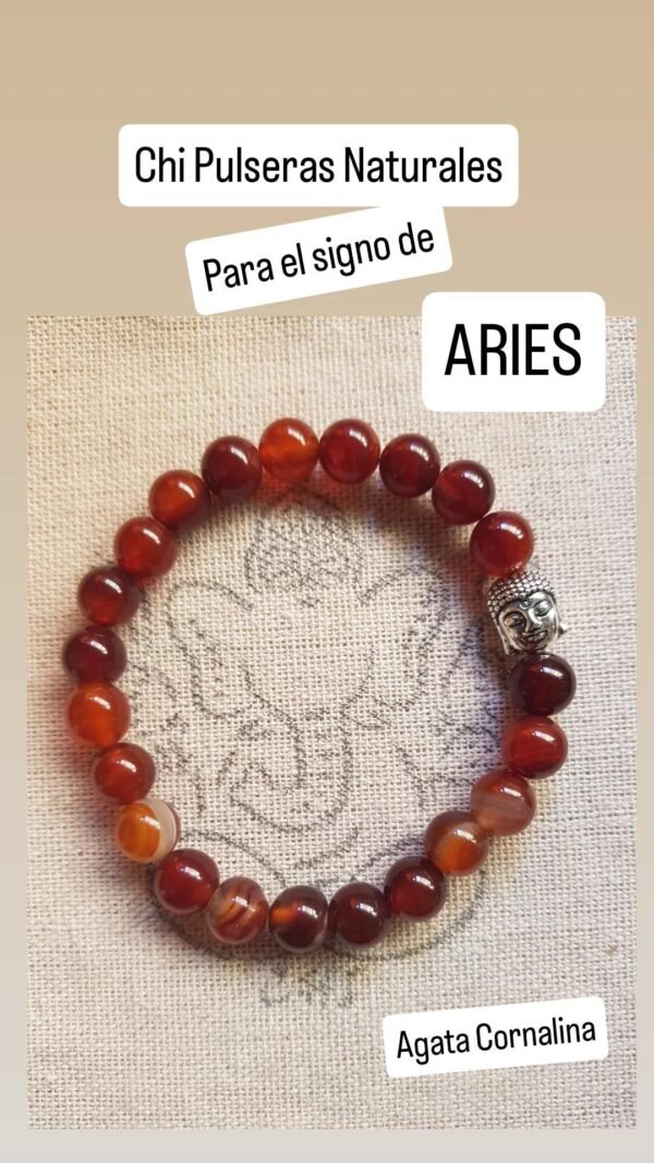 2026/01/IMG_20250219_135052_207.jpg Pulsera Cornalina